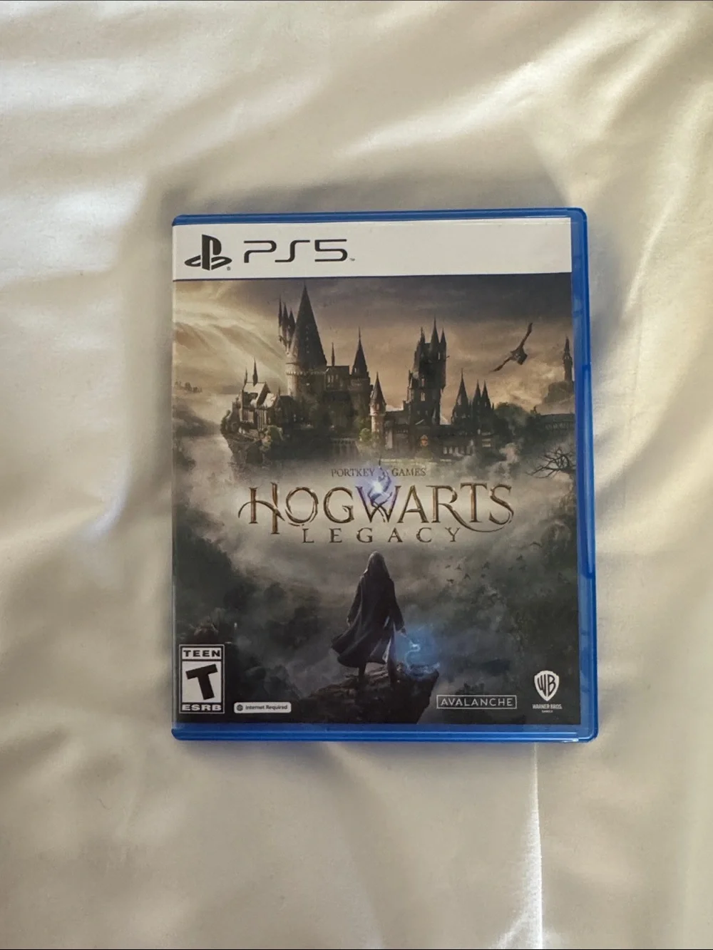 Sony PS5 Hogwarts Legacy (Blue Case)